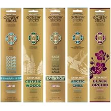 Gonesh - Extra Rich Scented Incense Sticks Variety Pack - Non-Toxic 10 Slow Burn Aromatic Sticks - Ocean, Cryptic Woods, Sage, Arctic Chill, Black Orchid - 5 Packs of 20