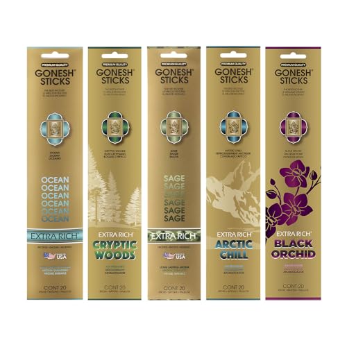 Gonesh - Extra Rich Scented Incense Sticks Variety Pack - Non-Toxic 10” Slow Burn Aromatic Sticks - Ocean, Cryptic Woods, Sage, Arctic Chill, Black Orchid - 5 Packs of 20