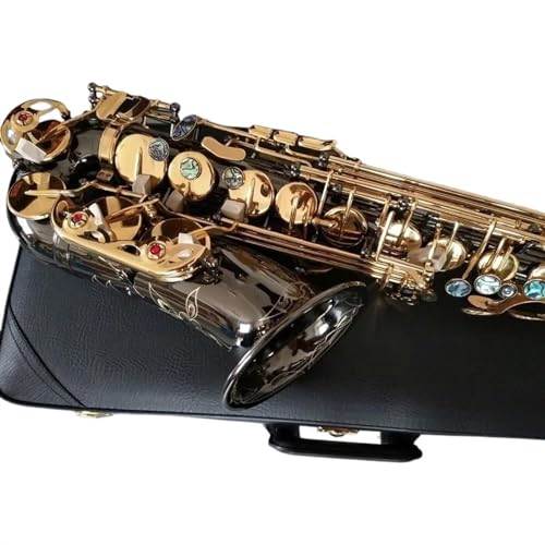 vtFbVi E tbgy퍕TbNX^J{^ƃ}EXs[X