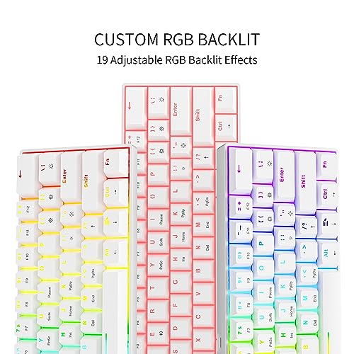 Image of Newmen GM610 60% Wireless Mechanical Gaming Keyboard,Wired /Bluetooth /2.4G Keyboard,RGB Backlit,61 Anti-Ghosting Keys,Programmable,Hot-Swappable,for Windows Mac Android (White /Red Switch)