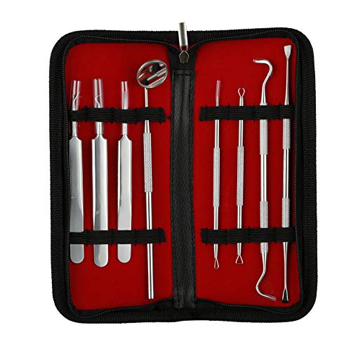 Image of Beaute Secrets Dental Tools 8 Pcs with Pick, Floss, Hygiene Tool Set, Tooth Scraper Plaque Tartar Remover Tweezers Gum Floss for Personal Oral Care & Pet Use (Oral | Blackhead)