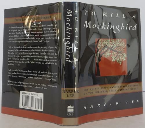 To Kill a Mockingbird view 2