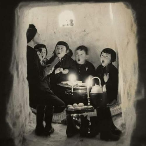 Singing In A Snow Cave cover art