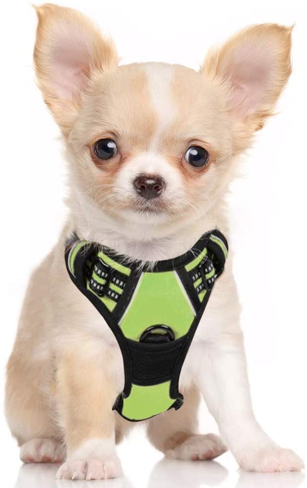 Pets Empire Dog Cat Harness No-Pull Pet Harness Adjustable Outdoor Pet Vest Reflective Oxford Material Vest for Dogs Easy Control- Green Color (Small) (B09XF82G9Y) Amazon Price History, Amazon Price Tracker