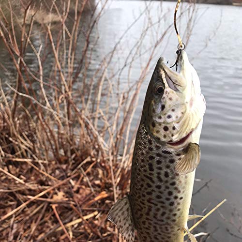 Acme S302/G S302-G Phoebe Spoon, 1/8-Ounce, Gold #TOP4