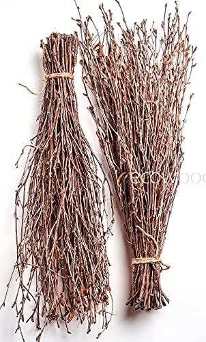 ECOWOODDECOR 100 pcs Birch Twigs for vase Decoration. Set of 2 Bundles of Branches 100% Natural Sticks 17 inches