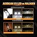 Auxbeam H4 LED Fog Light Bulb, Fanless & Noiseless, 8000 Lumen 6500K Xenon White 9003 H4 LED Headlight Conversion Kit, Plug and Play, Canbus Ready NF-S1 Series (Pack of 2)