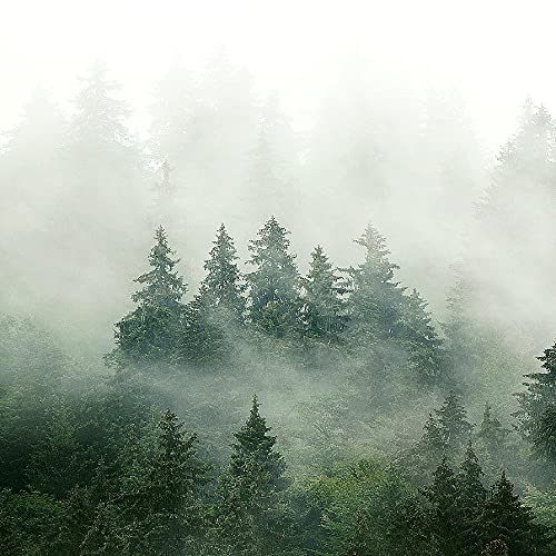 Schilderijen Bos Een Stukje Modern Fleece Niet-geweven Canvas Huiskamer Hal mist groen grijs 032312a - Afbeelding 8