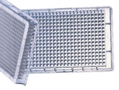 781165 Clear Polystyrene CELLSTAR Cell Culture Microplate without Lid, TC Treated, Sterile, Flat Bottom, 384 Well (Pack of 40)