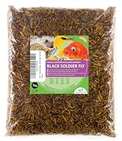 UGF - Soldatenfliegenlarven Hermetia (1 Kg) - 85-mal mehr Kalzium als lebende Mehlwürmer - BSFL Vogelfutter Wildvögel Ganzjährig, Futter für Schildkröten, Ratten, Igel, Hamster