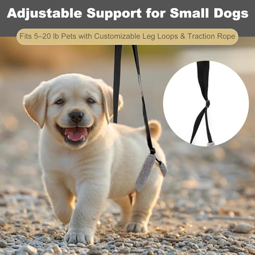 Image of NIIIYTYB Sling for Dogs Back Legs Rear Support Harness for Paralyzed or Handicapped Pets Assistance Lift Slings for Hind Leg Mobility Small Dog Handicap Supplies for Joint Injuries and Stability Black