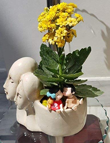 Image of Lasaki Couple Ivory Ceramic Pots for Indoor Plants, Planters, Flower, Pots, gamla, Outdoor, Balcony, Home, Garden, Office Decor, Succulent Pot(L - 16 X W - 10 X H - 14.5 cm)(Plants not Included)