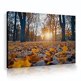 素朴な秋の風景キャンバスウォールアートプリント落ち葉夕日メープルフォレストウォールポスターリビングルームベッドルームオフィスホームデコレーション50x70cmインナーフレーム