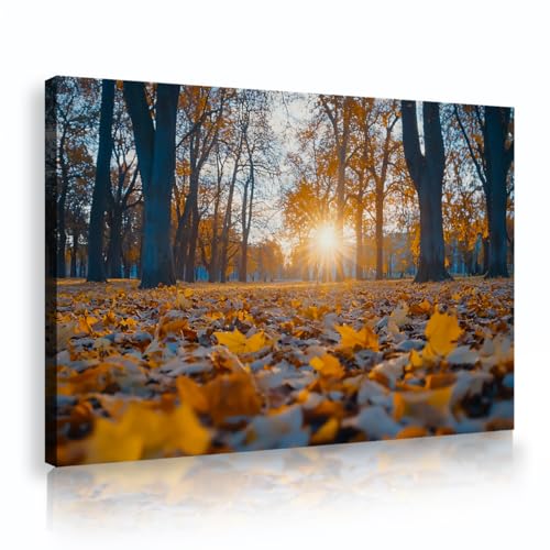 Art mural tirages d’œuvres d’art forêt d'automne déco salon 40x60