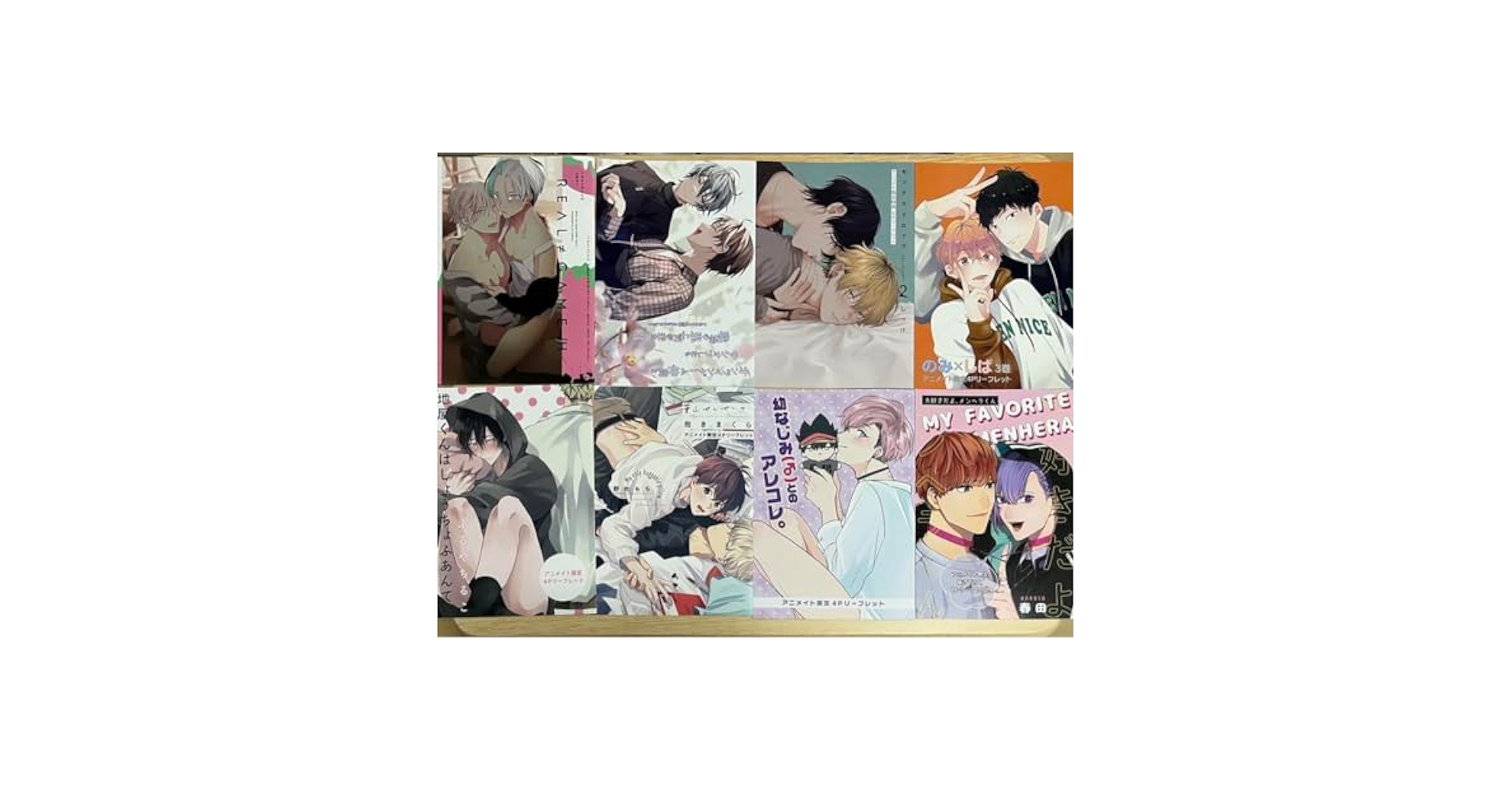 書店限定特典4Pリーフレット付商業BL23冊セット アニメイト京都