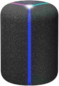 Sony SRS-XB402M 25 Watt Wireless Bluetooth Speaker with