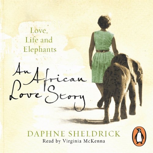Cover art for An African Love Story