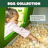 Omlet Eglu Cube Large Chicken Coop | Easy to Clean Plastic Chicken Tractor | The Most Secure Hen House for Complete Peace of Mind | Weatherproof, Cool in Summer and Warm in Winter | Green - Image 4