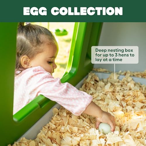 Image of Omlet Eglu Cube Large Chicken Coop | Easy to Clean Plastic Chicken Tractor | The Most Secure Hen House for Complete Peace of Mind | Weatherproof Cool in Summer and Warm in Winter | Green