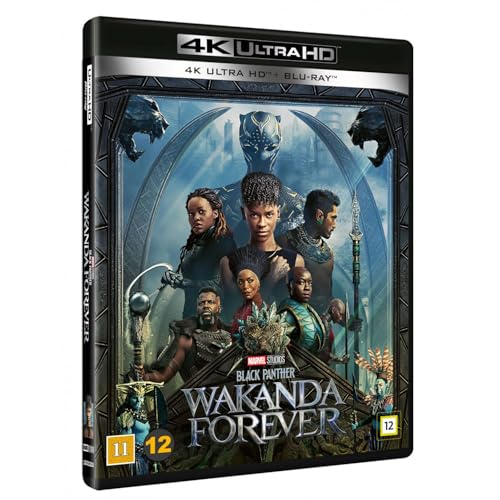 Black Panther Wakanda Forever édition SF Studios premium