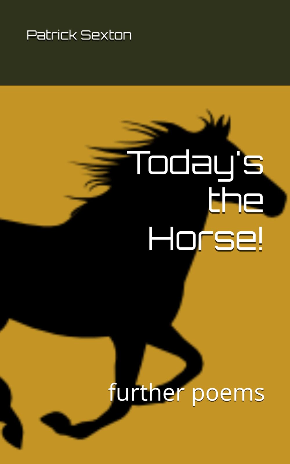 Today's the Horse!: further poems