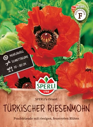 SPERLI Türkischer Riesenmohnsamen SPERLI's Orient - Blumensaatgut, Zweijährig, Wuchshöhe 70-80cm, Leuchtend Rote Blüten