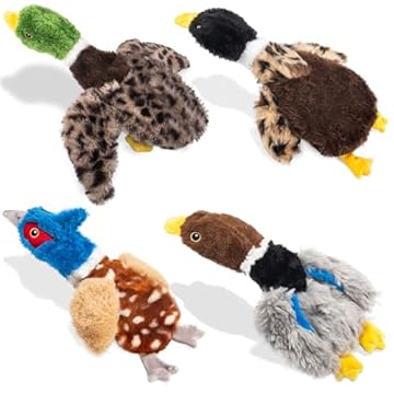 best bird toys for aggressive chewers that will surprise you 2 best bird toys for aggressive chewers