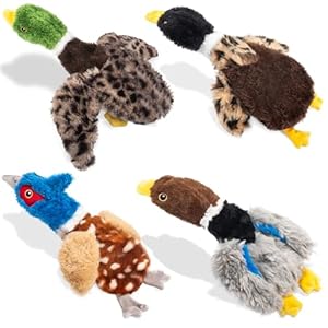 Dog Squeaky Toy Set – 4-Pack Durable Plush Duck, Pheasant, Goose for Small and Medium Dogs – Soft Bird Chew Toys with Crinkle Sound for Puppy Play, Interactive Training