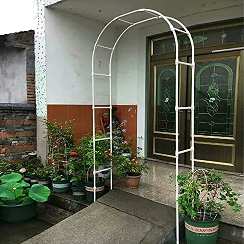 Support en treillis pour vignes et plantes grimpantes de jardin - 2