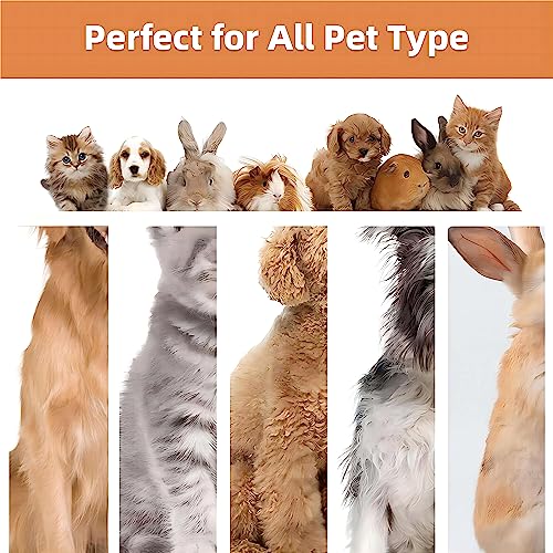 Dog Grooming Kit & Vacuum Suction 99% Pet Hair, Professional Grooming Clippers With 5 Pet Grooming Tools,Low Noise Dog Hair Remover With Powerful Suction 2.0L,For Dogs Cats And Other Animals #TOP6