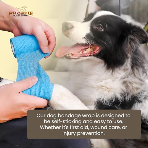 Image of Premium Bullk Self Adhesive Bandage Wrap - Non-Woven Elastic Cohesive Vet Tape for Wounds, Strains & Sprains - Athletic Tape & Self Adhering Bandage for Wounds, 6 Rolls, 4 Inch by Prairie Horse Supply