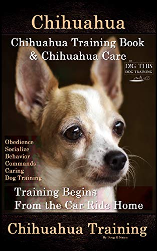 chihuahua obedience