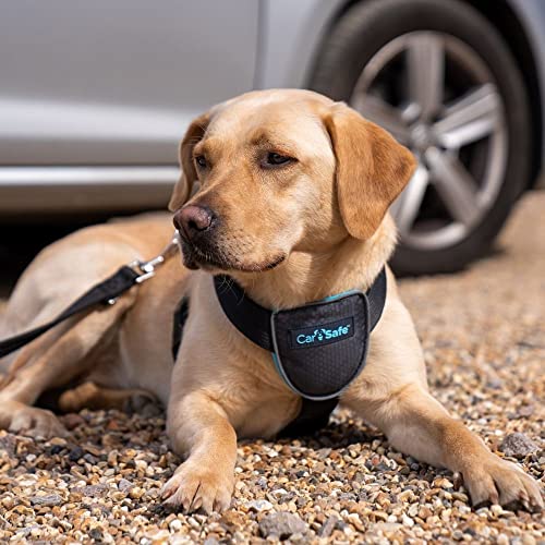 Image of CarSafe Dog Travel Harness - Safely Secure Dog in Car, Ensures Road Laws and Insurance Terms When Travelling with Your Pet. for Toy, Small, Medium and Large Dogs (Size Large)