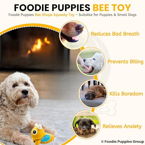 Image of Foodie Puppies Dog Squeaky Chew Latex Rubber Toy - (Bee) | for Small Dogs & Puppies | Durable, Soft, Animal Design, Fetch & Chew Safe Play Toy | Reduce Separation Anxiety (Size: 10cm)