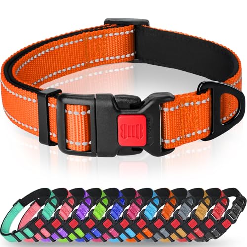 Image of Taglory Personalized Dog Collar with Nameplate, Custom Engraved Pet ID Tags No Noise,Reflective Training Collars for Small Medium Large Dogs,Orange