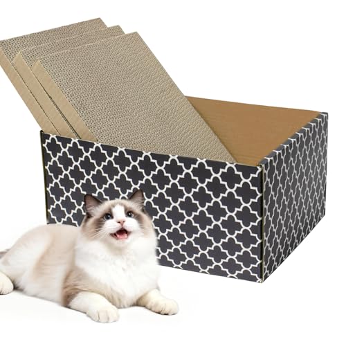 �i�{�[���L�X�N���b�`���[�{�b�N�X ���嗼�ʃX�N���b�`�{�[�h3�t�� ���ȔL�p�X�N���b�`���[�x�b�h ���ŋl�ߑւ��\ �����~�����␇���ɍœK �����L�p�v���~�A���n�E�X