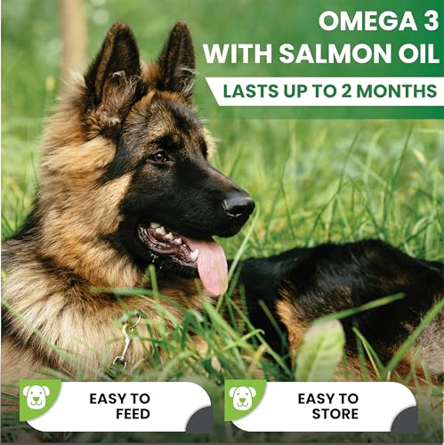 Omega 3 Chews for Dogs - Dog Supplements for Itchy Skin - 90 Chicken & Bacon Flavour Omega 3 Supplements with Salmon Oil - Dog Fish Oil Treats - Easy to Feed Itch and Allergy Chews - Image 4