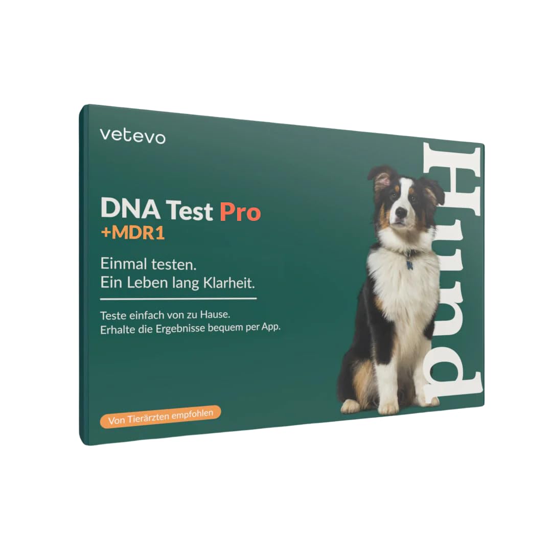 vetevo DNA Test Hund - Rassenbestimmung & MDR1 Gendefekt - 400+ Rassen | Speichelprobe bequem von zu Hause, Auswertung in der vetevo App, sorgfältige & verlässliche Laboranalyse