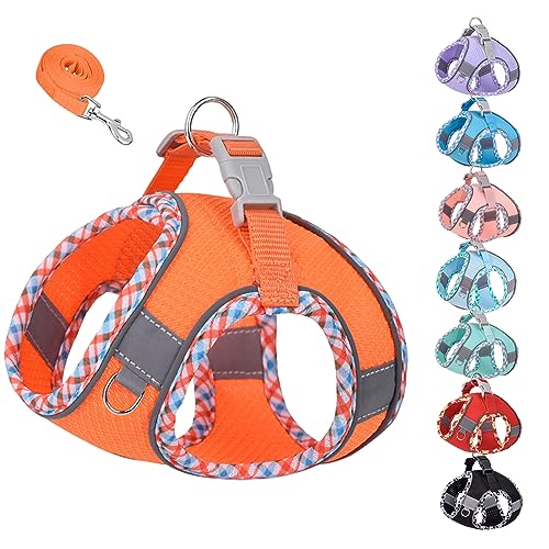 KUVEELA PET ^ L ^ n[lX [hZbg [v   hbOEGA ˌXgbvt bV  ߉\ U EȒPiIW XXSj