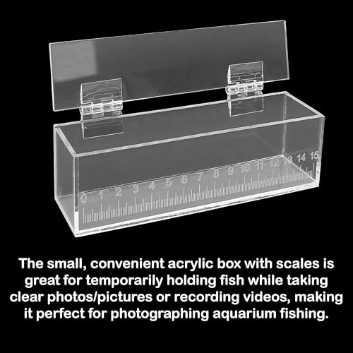 Image of Fish Viewing Box Container with Lid and Scale, Acrylic Portable Fishing Mini Aquarium, Small Fish Breeder Hatching Boxes, Safe Tank Case for Breeding Egg Photo Isolation Outdoor Indoor