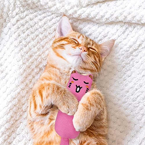 ADAKEL 5 Pieces Cat Catnip Toy Cat Chew Toy for Pet Cat Playing Chewing Teeth Cleaning ADAKEL 5 Pieces Cat Catnip Toy Cat Chew Toy for Pet Cat Playing Chewing Teeth Cleaning