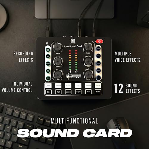 Image of DIGIMORE Dual Condenser Microphone Kit for Singing with D-220 Sound Card | Studio Recording Equipments Full Set, Voice Recorder Mic, Karaoke, Gaming, Podcast & Lecture (D-442)