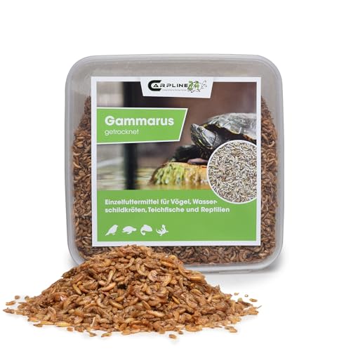 Bachflohkrebse Gammarus 2000ml - Getrocknete Insekten als Futter für Schildkröten, Axolotl, Vögel & Nager, Fischfutter für Aquarium & Teich