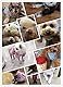 JOYJULY 100pcs Haustier Hündchen Hunde Nail Kappen, steuern weiche Klaue Tatze von 5 Random+5 Klebstoff Kleber,XL