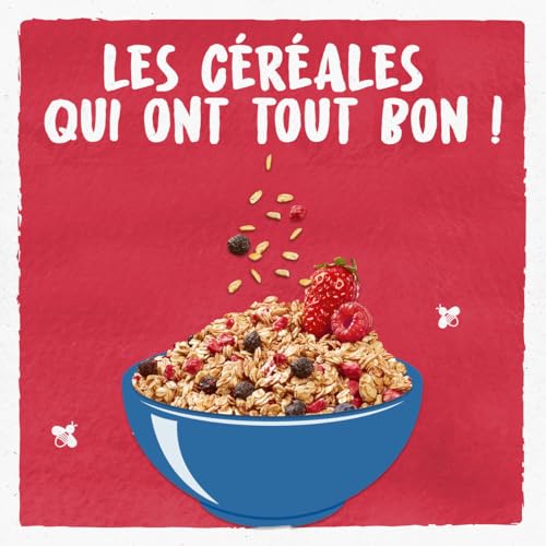 Céréales Bio Granola Fruits Rouges Bjorg Le Paquet De - vue 5