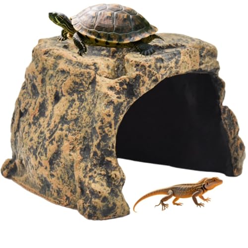 Foivozs  ঒ރVF^[ TB T̕  B nEX T̓Ȃڂ xeeX J JVF^[ T VF^[ gJQ VF^[  n  蕨ANZT[ (XL)