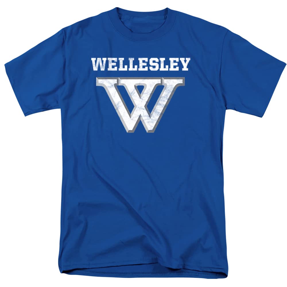 LOGOVISION Official Collegiate Distressed Primary Logo Adult T-Shirt Collection — view 259