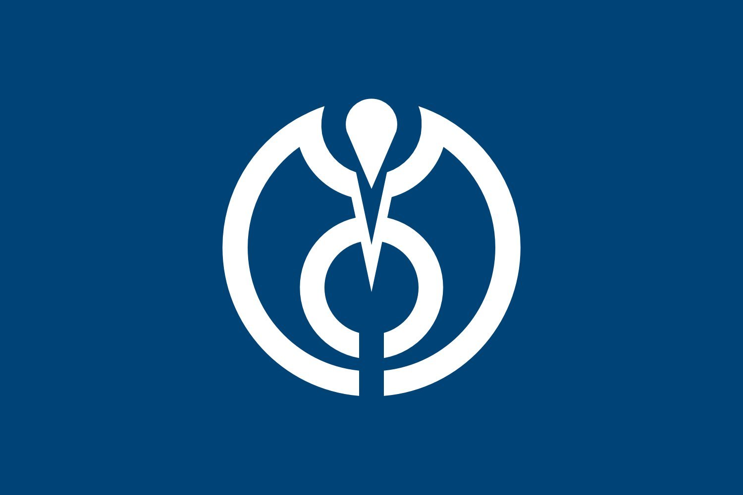 Drapeau Large Akune Kagoshima pour décorer un salon de thé ou un dojo traditionnel