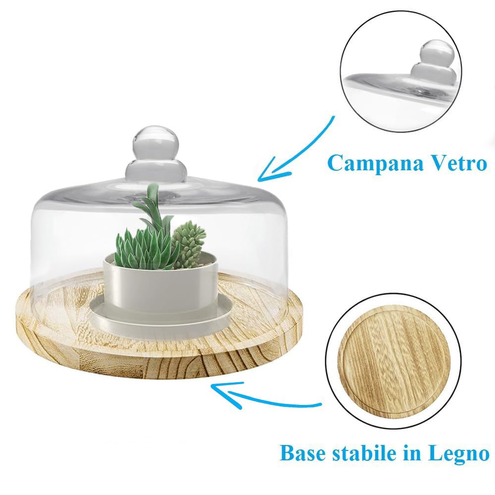PALUPLUS Campana in Vetro con Base in Legno, Misura 27x22cm, Teca in Vetro Trasparente, Espositore per dolci e oggetti, composizioni floreali, oggetto decorativo per la tua casa -7991M