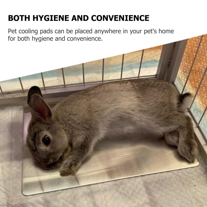 Aluminium Kühlmatte Für Kleine Haustiere Verschleißfestes Kühlpad 30x20cm Große Kühlunterlage Für Kaninchen Hamster Chinchillas Sommer Haustierzubehör